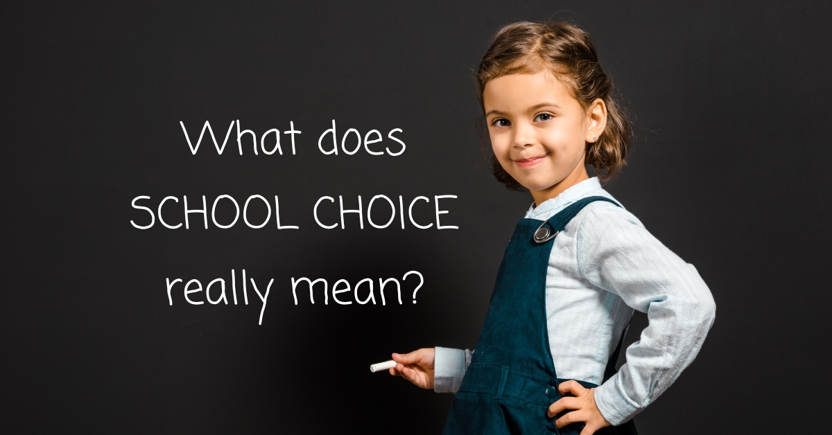 Why Is School Choice A Bad Thing